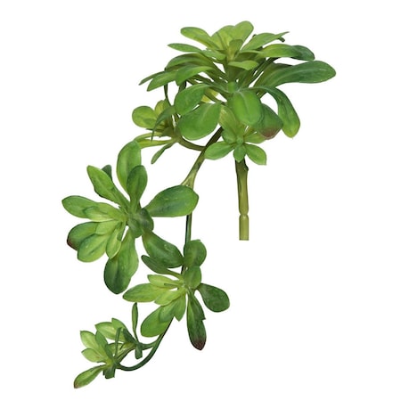 Dare2Decor 11 in. Aeonium Spray Green DA1236102